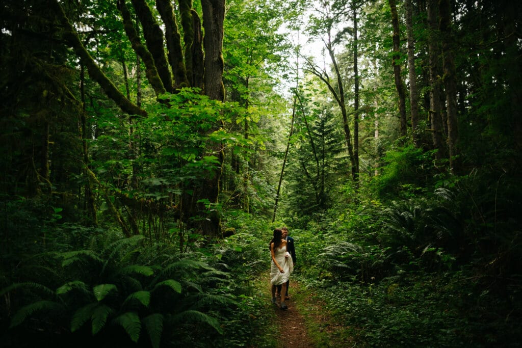 couple walks through hoh rainforest during elopement
